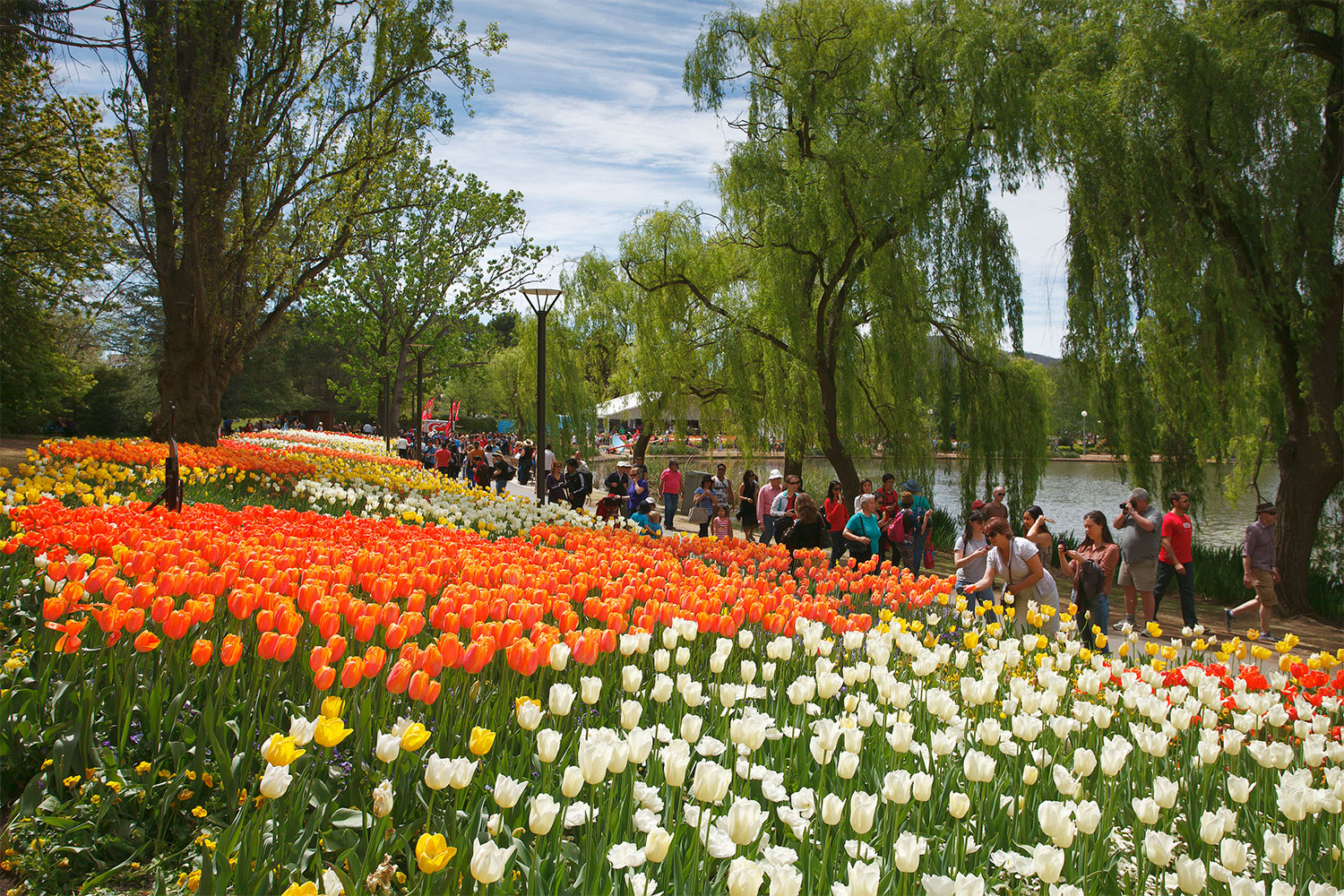 The mustsee flower festivals in Australia Better Homes and Gardens