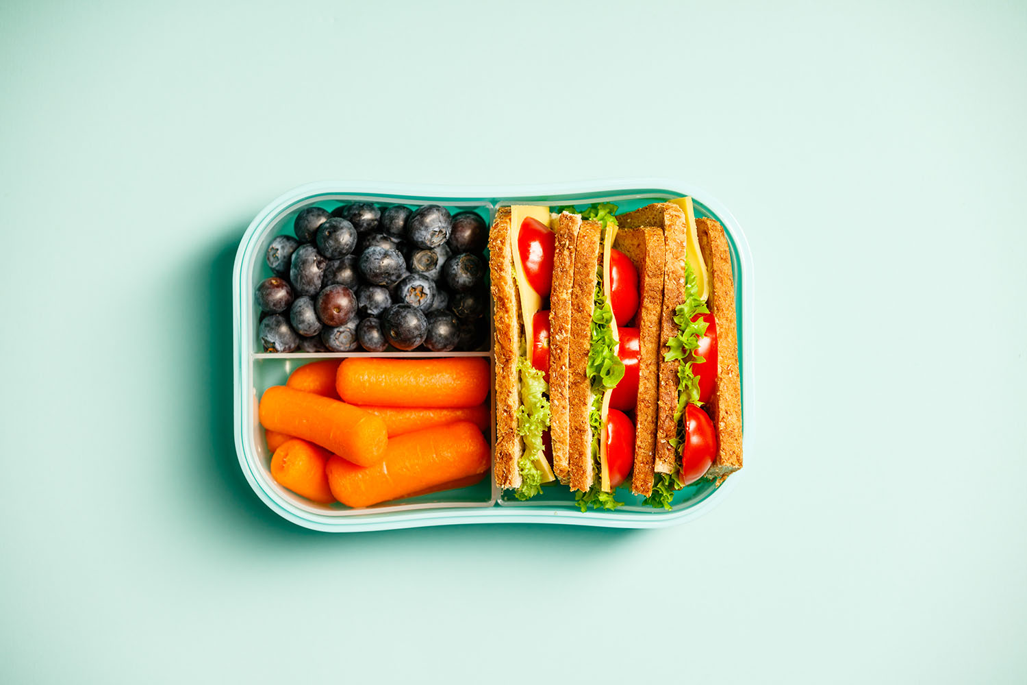 Making waste-free lunches easy {and a giveaway from Biome} - little eco  footprints