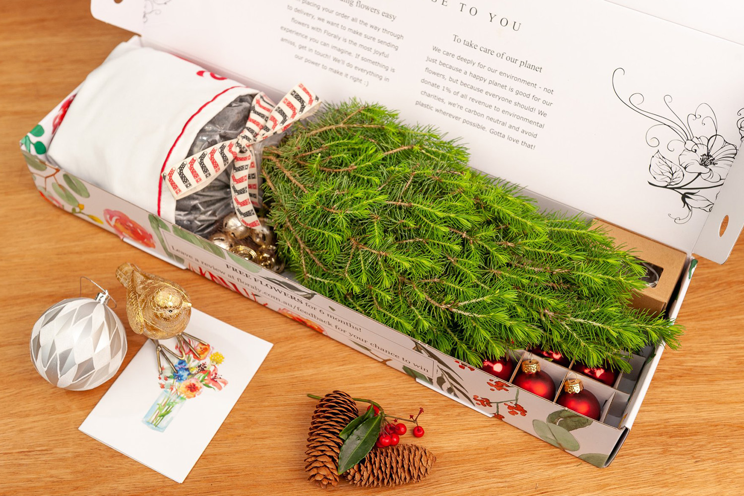 get-a-gorgeous-real-life-mini-christmas-tree-delivered-to-your-door