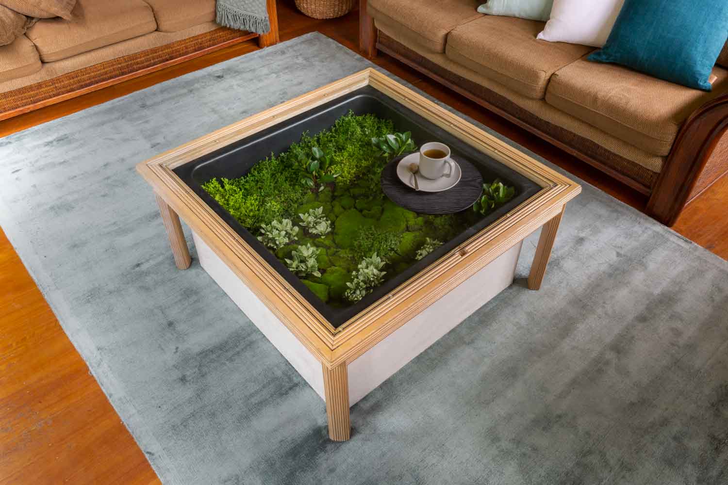 Coffee table terrarium  Better Homes and Gardens
