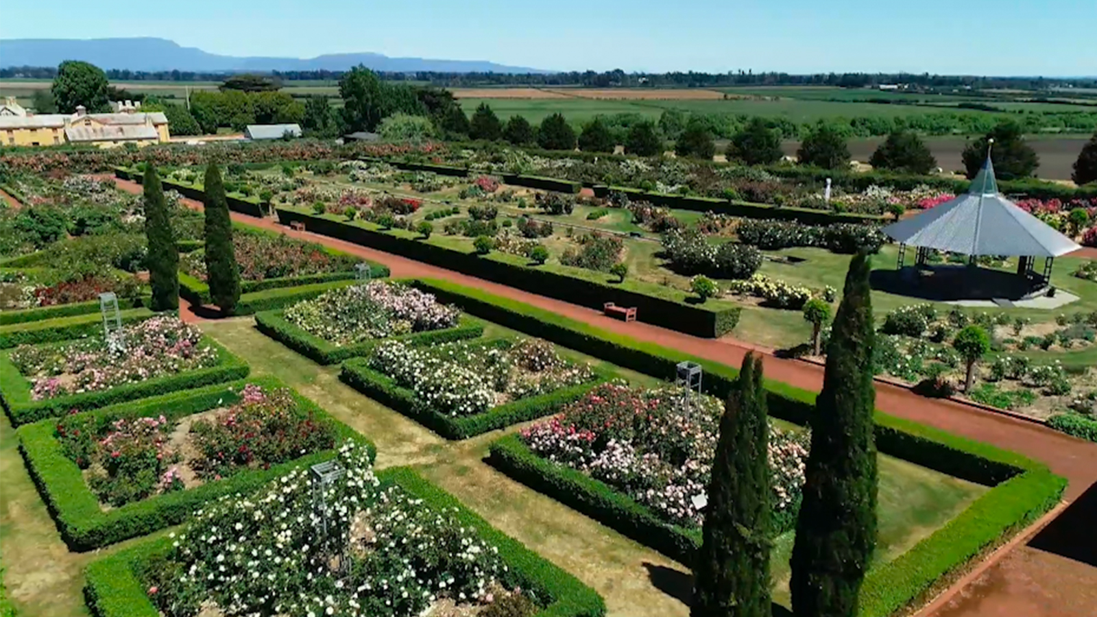 Woolmers Estate  Rose Garden in Tasmania