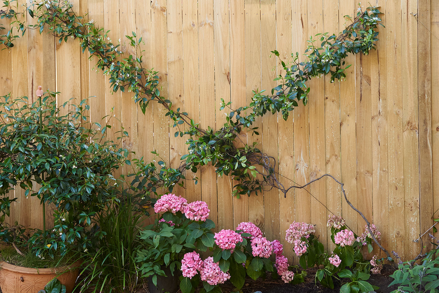 How to make a pretty wire trellis for your garden