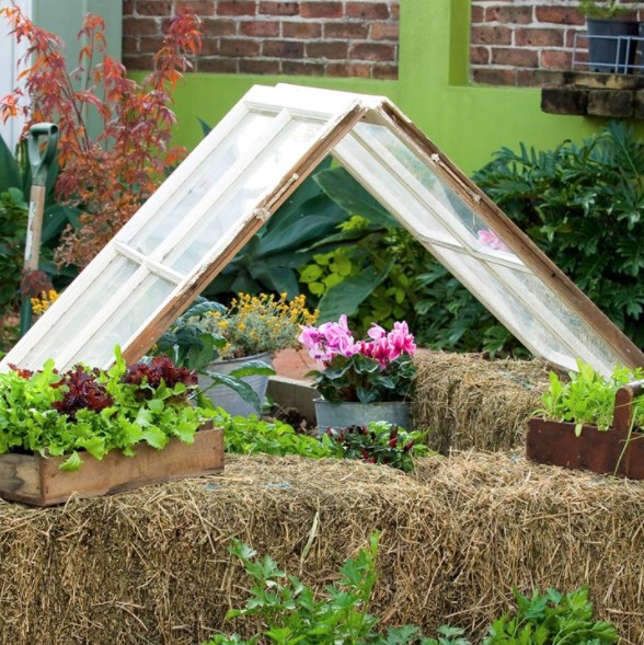 DIY Greenhouse: How to Build a Greenhouse | Better Homes and Gardens