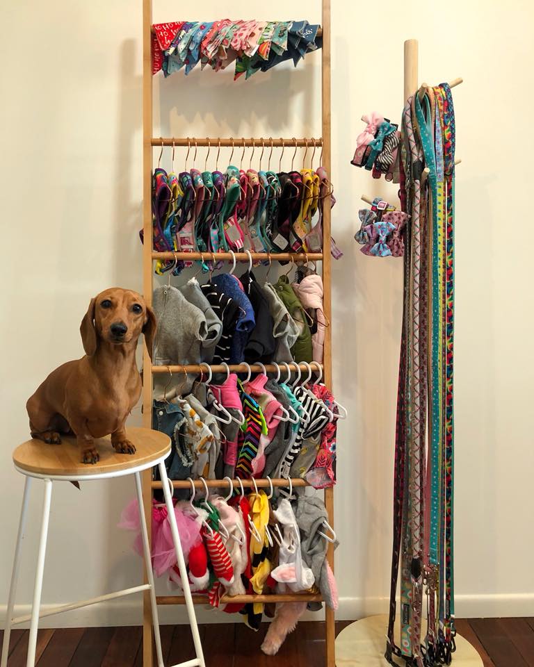 dog clothes wardrobe