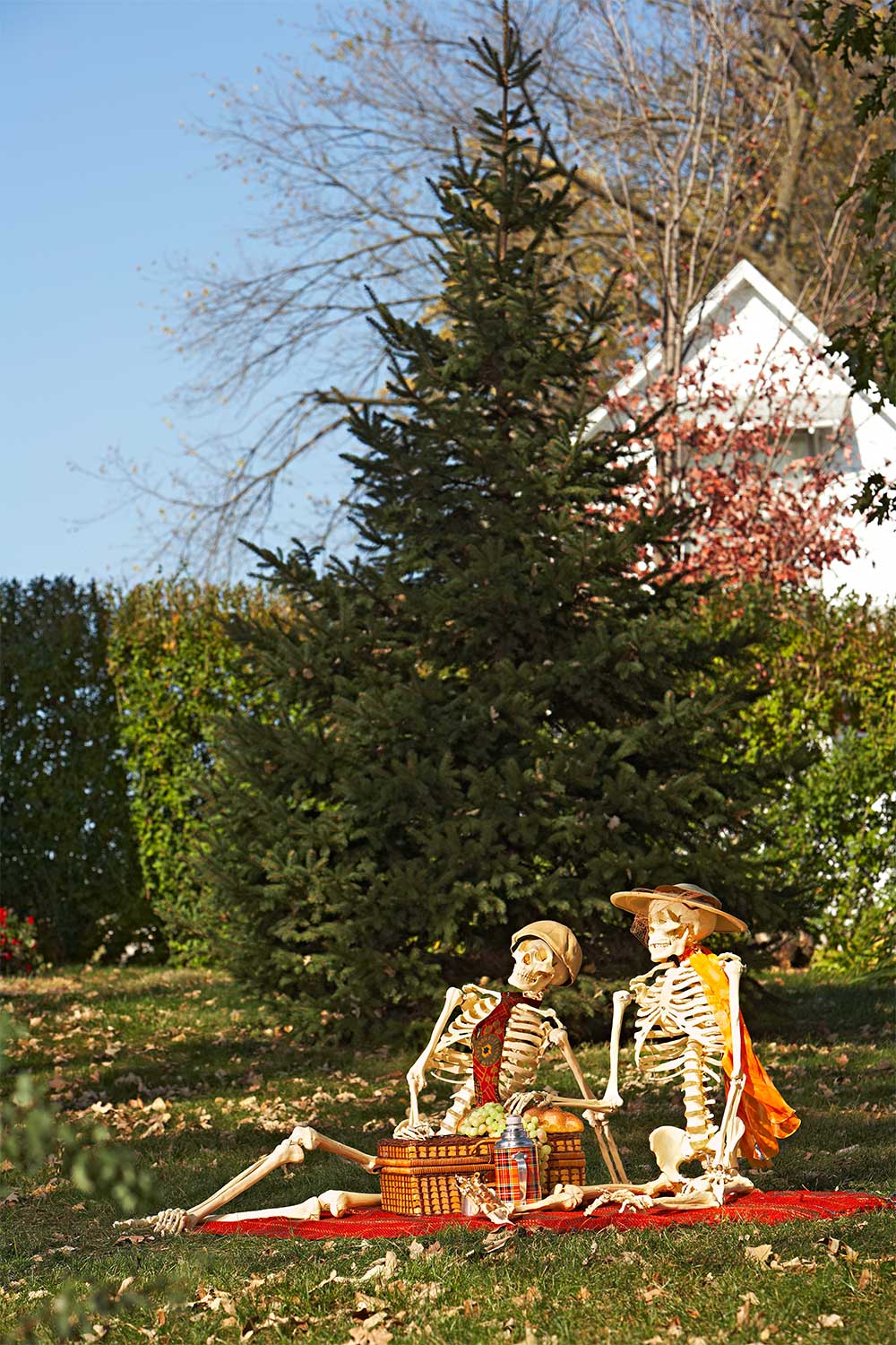 Stone Oak family wins Halloween by giving skeletons a new, hilarious theme  per day