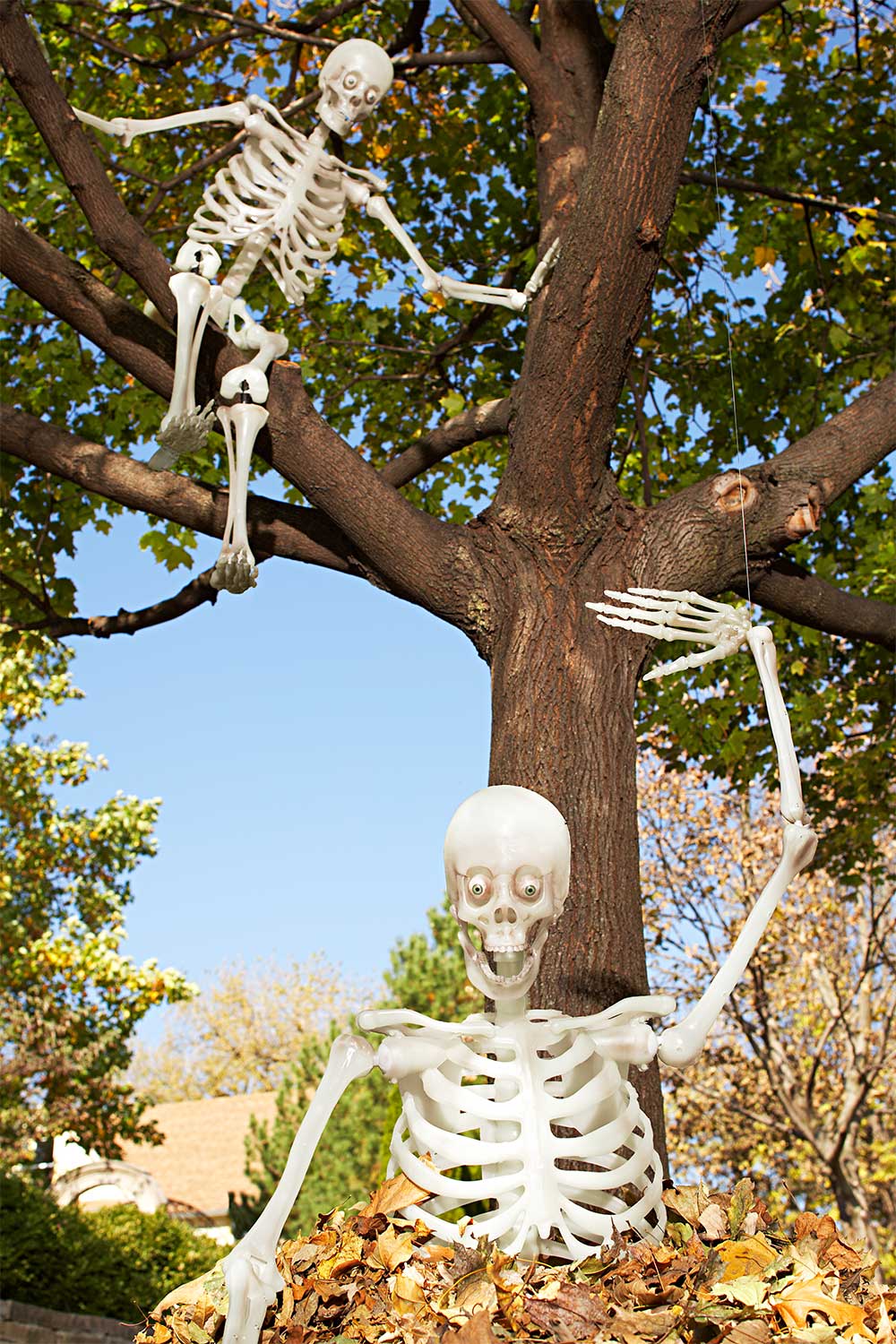 Human skeleton in different poses. Halloween clip art set on black  background Stock Illustration | Adobe Stock