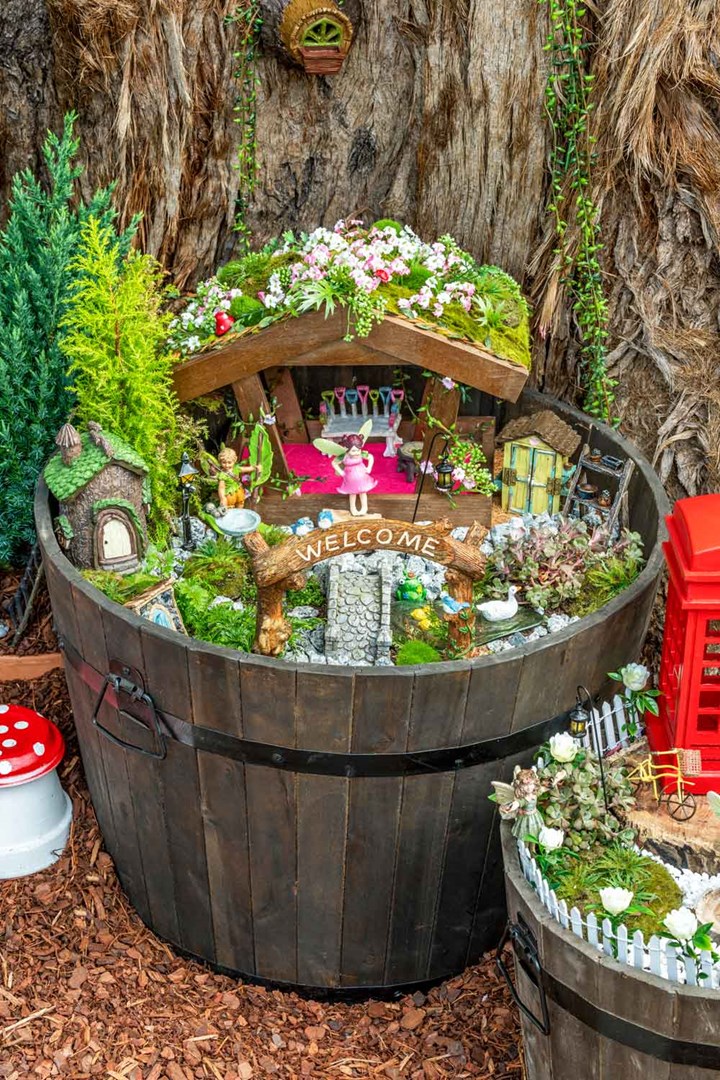 Create A Fairy Garden Better Homes And Gardens