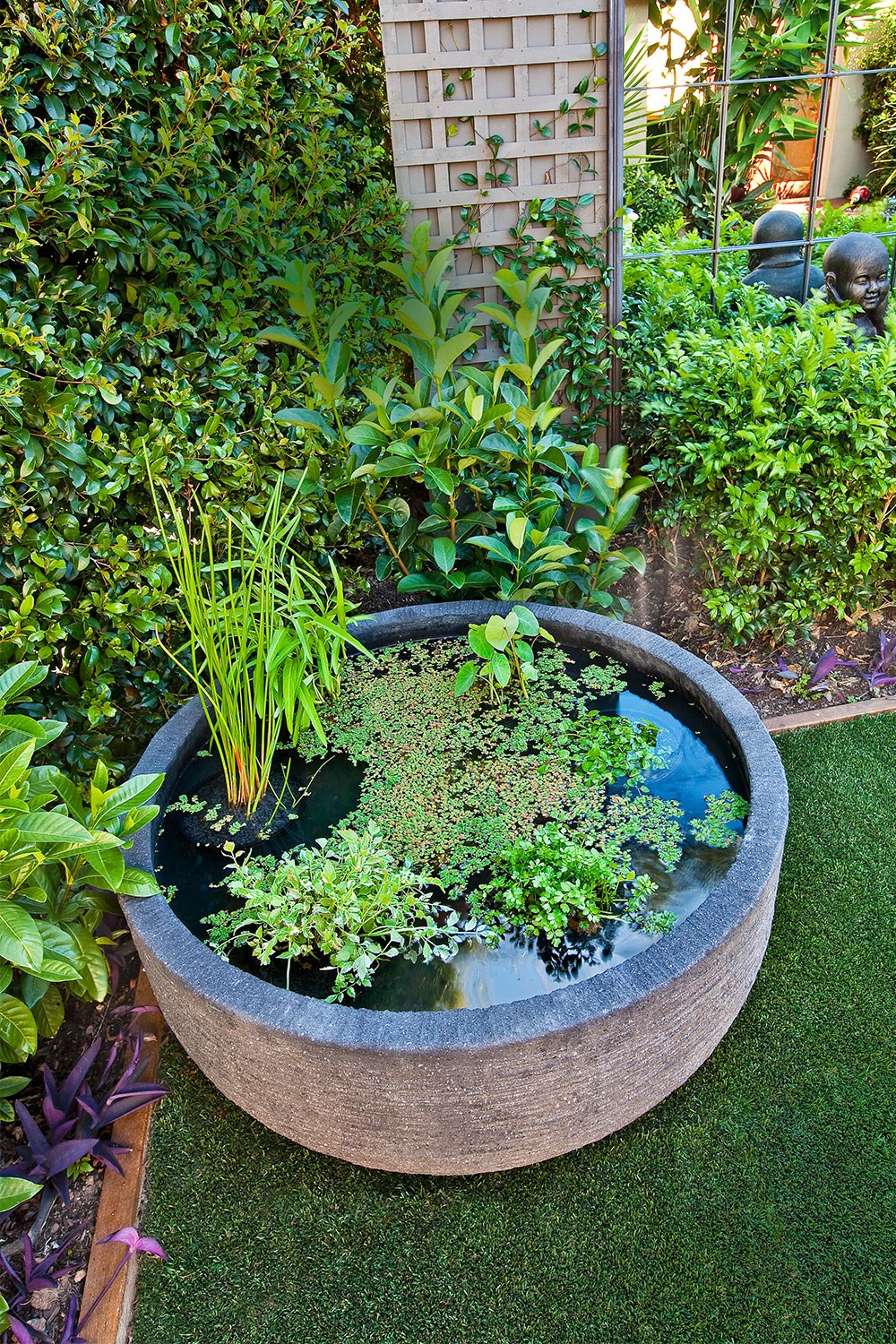 How to turn your pond into a vegie patch | Better Homes and Gardens