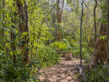 Boongala Gardens are the perfect example of an Aussie rainforest