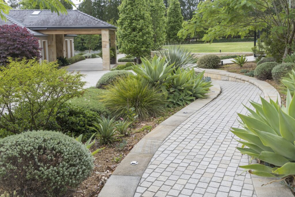 topiary hedges with paved pathway and agave plants sticking out