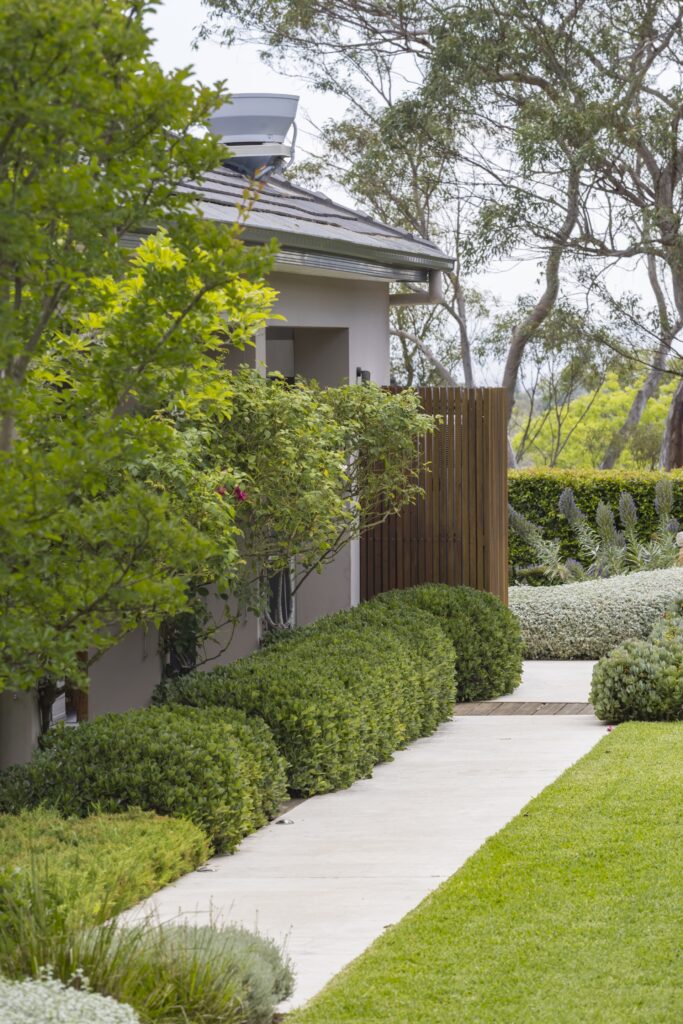 topiary hedges and lawn on different sides of a pathway