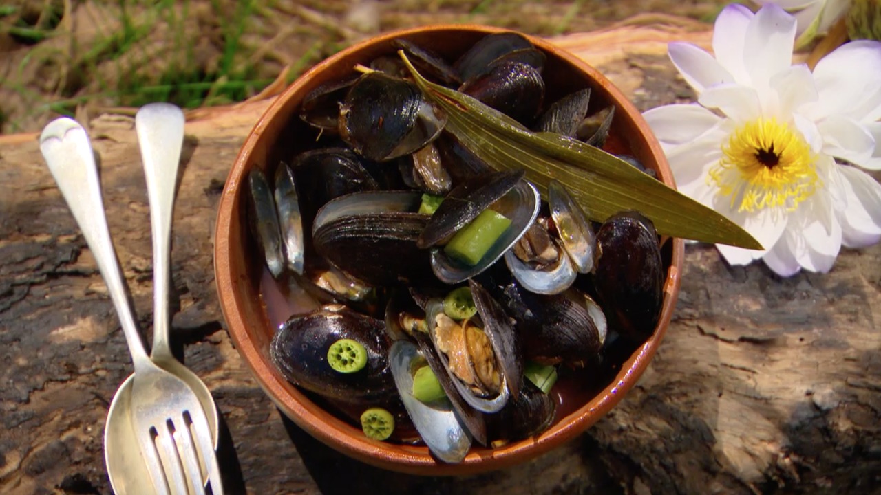 Kakadu mussels