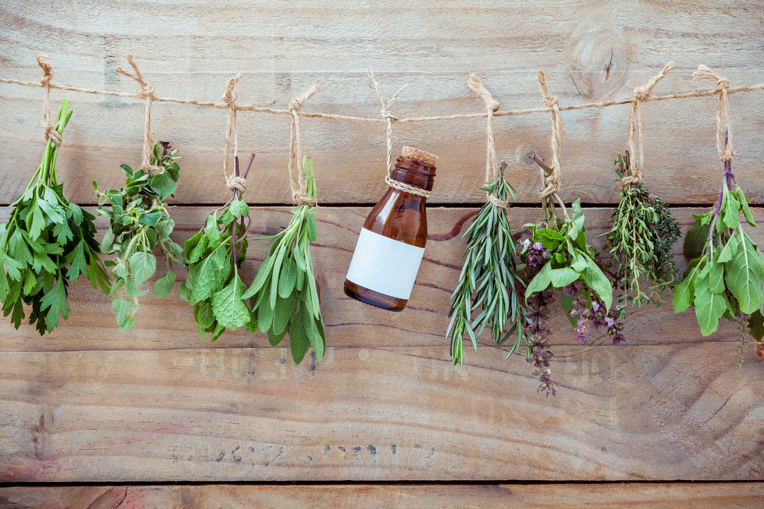 3 ways to dry herbs and intensify their flavour