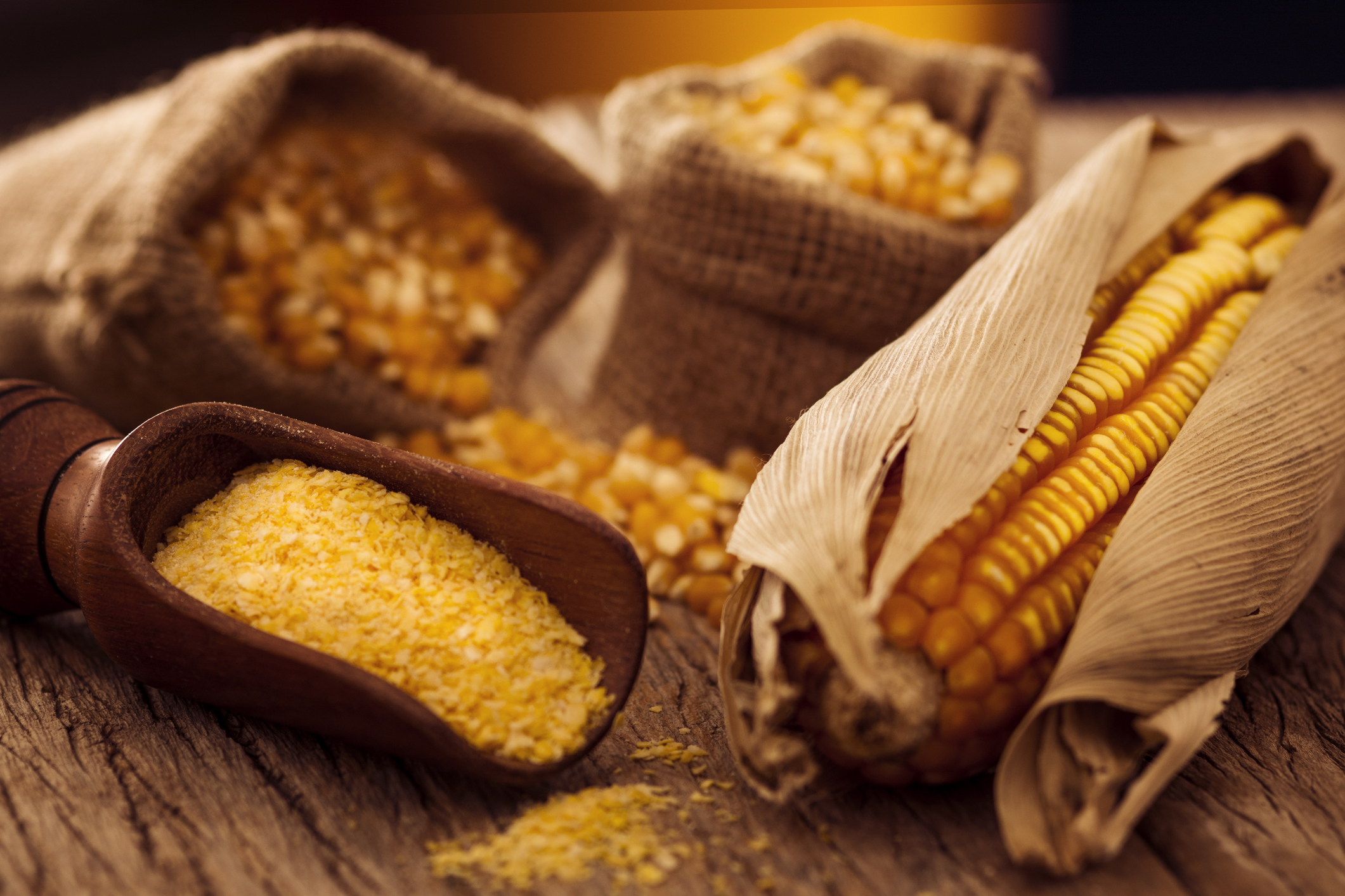 Dried corn, popcorn kernels & cornstarch on a wooden board