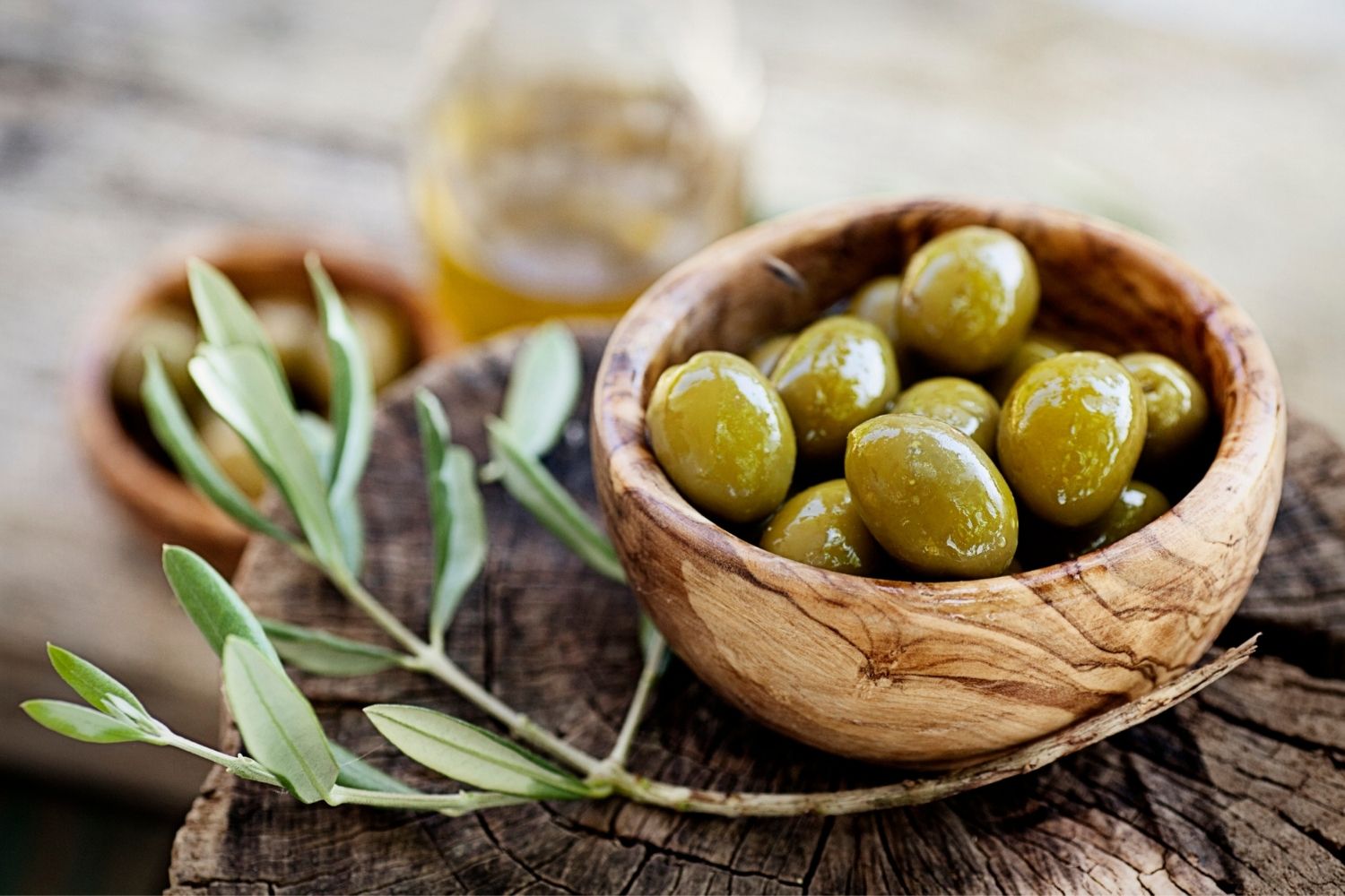 How to grow olives