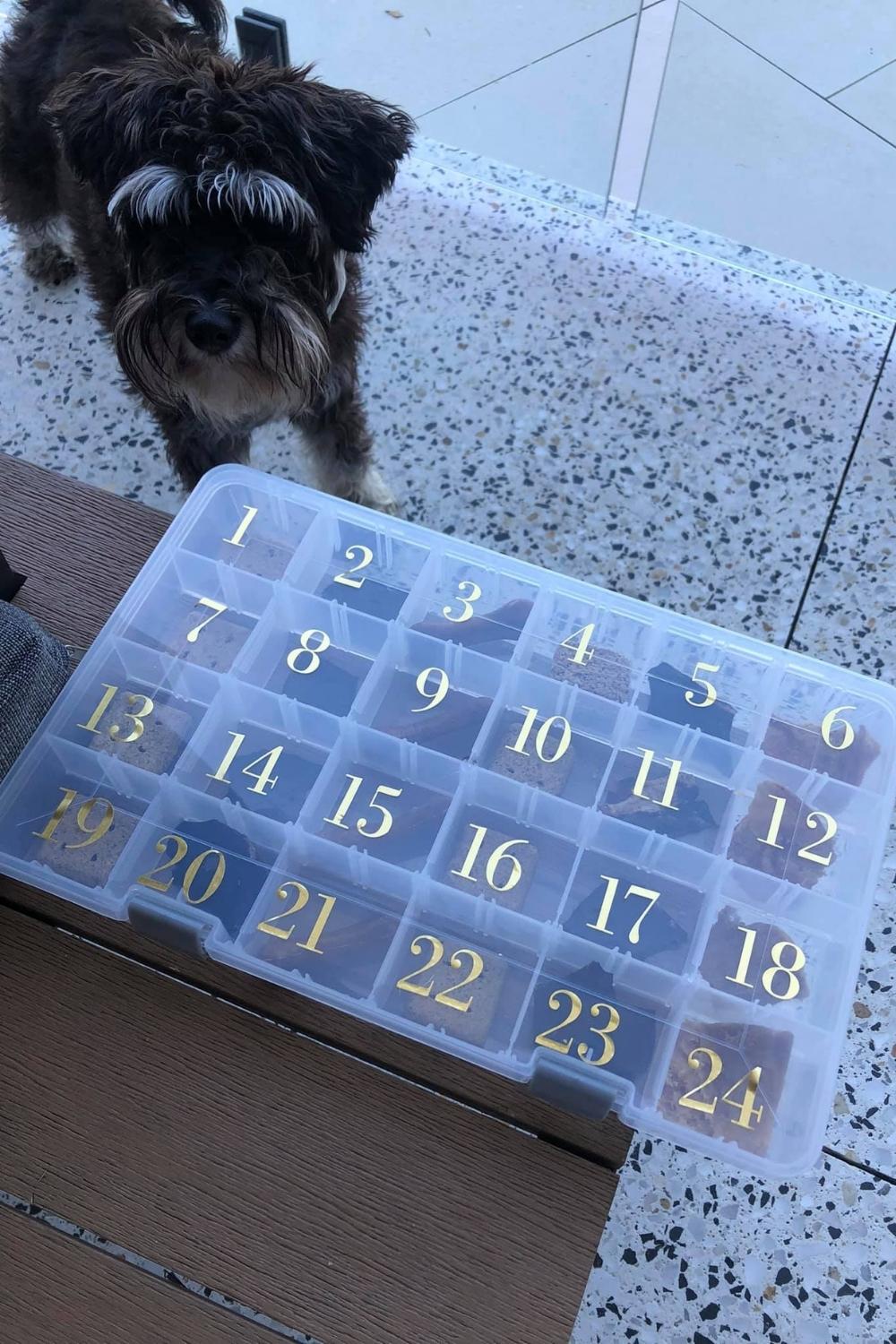 The 6 Kmart Advent calendar for your pup Better Homes and Gardens