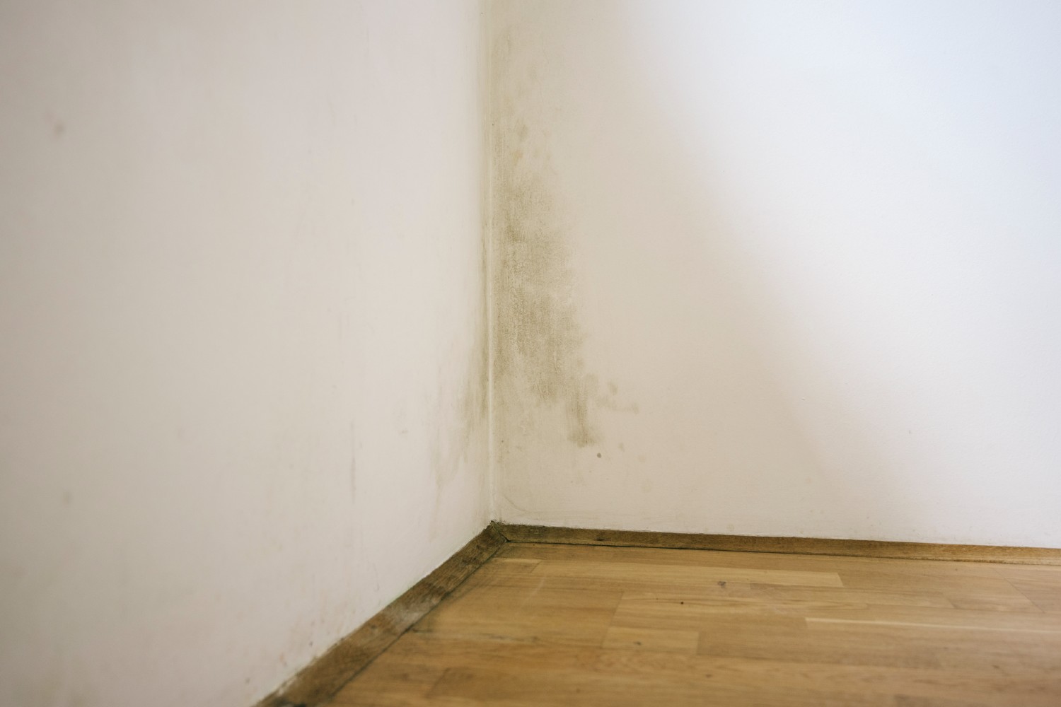 This simple cleaning method removes mould from your walls in just four steps