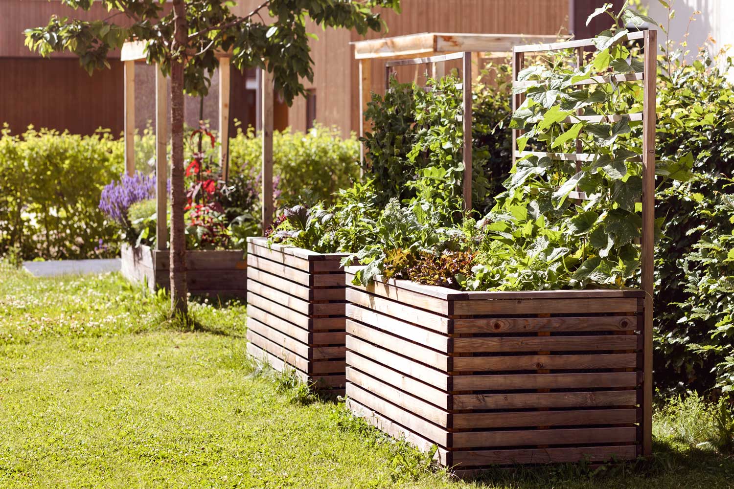 Hugelkultur: How To Fill A Raised Garden Bed Cheaply | Better Homes And ...